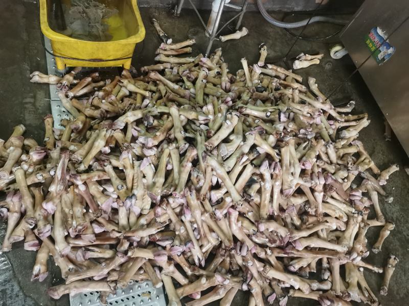 新鲜羊蹄火烧羊蹄型号齐全一手货源可视频看货