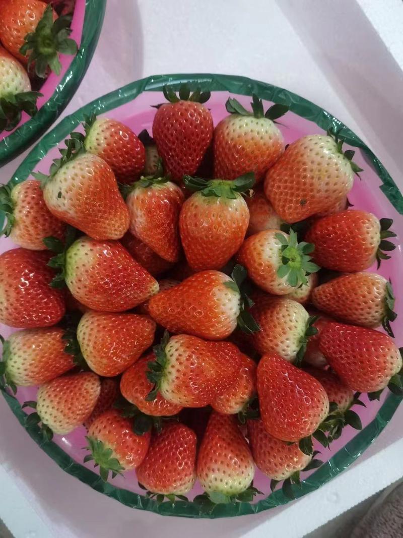 奶油草莓大量上市，诚邀全国各地批发商，电商，商超社区团购