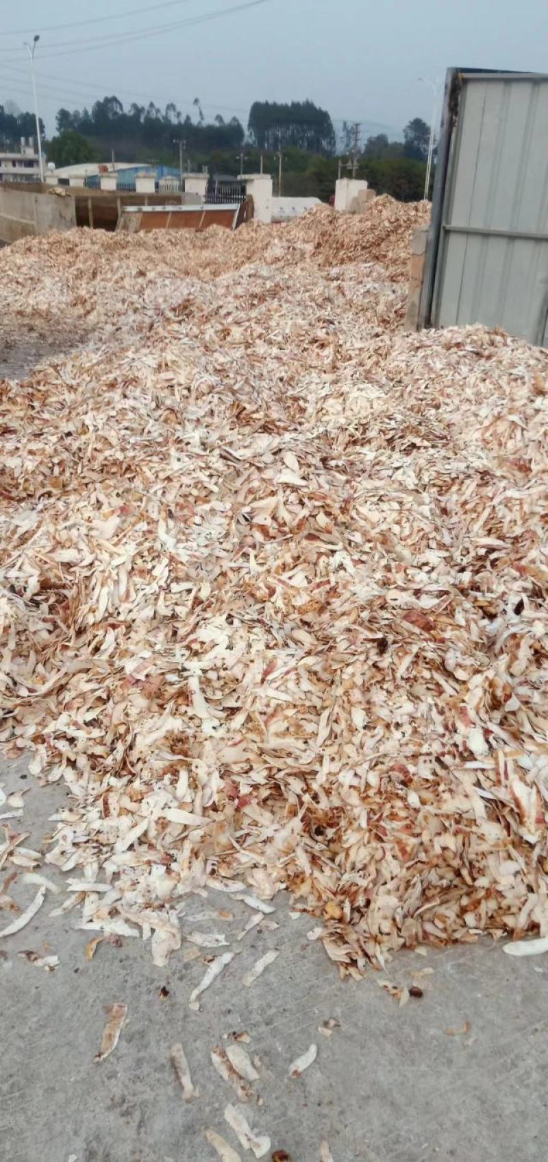 芋头皮，猪饲料，鸡鸭牛羊