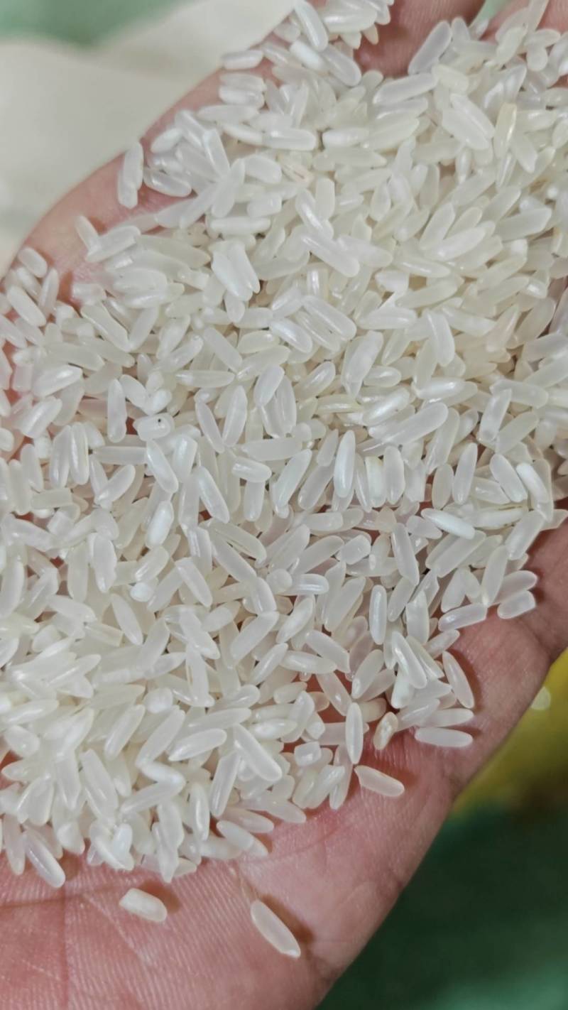 【推荐】湖北长粒香米口感香甜货量充足欢迎采购