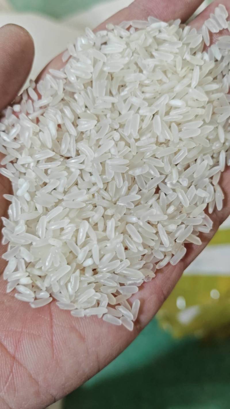 【推荐】湖北长粒香米口感香甜货量充足欢迎采购