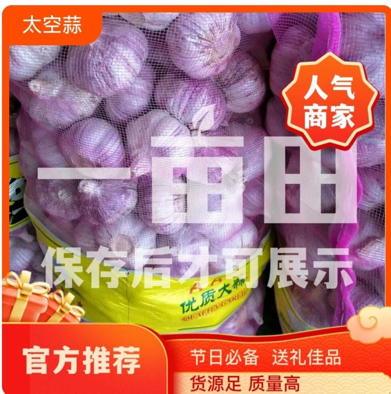 金乡太空蒜～红皮、红瓣、加工改包，供应全国市场，商超，