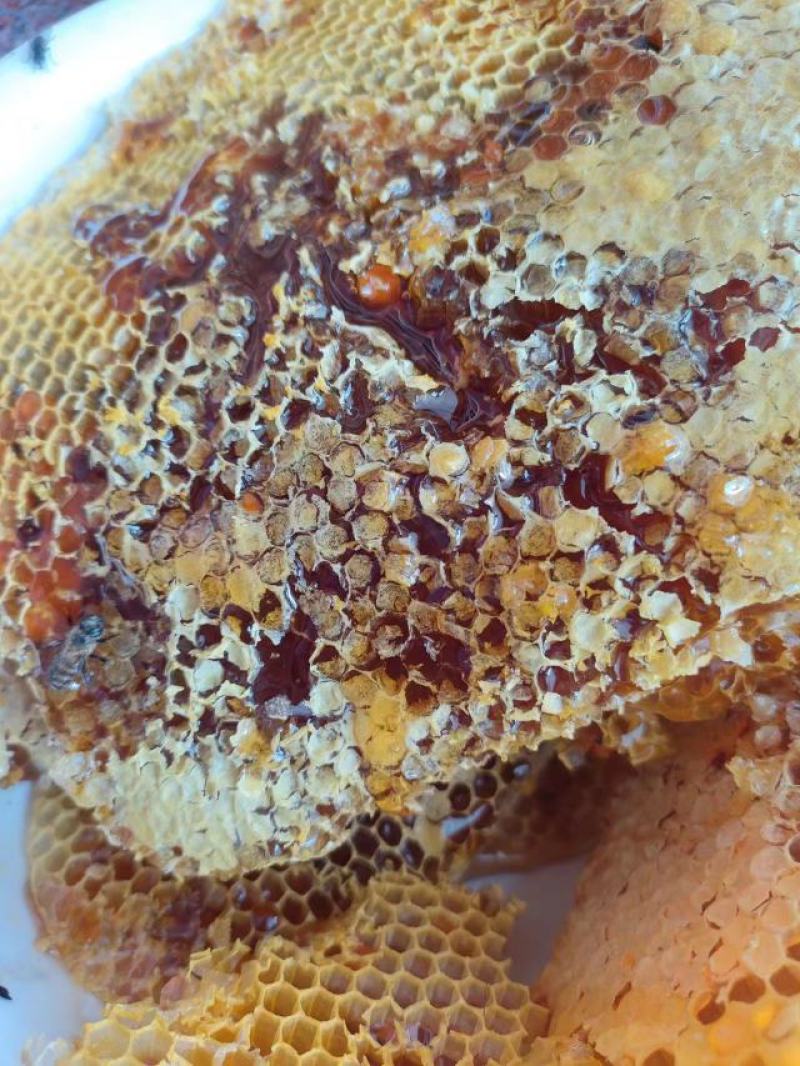 云南丽江野生优质土蜂蜜，零添加，无勾兑，假一赔十！
