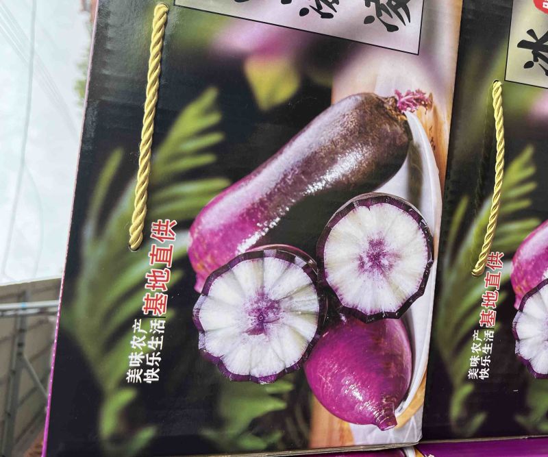山东潍坊冰淇凌萝卜，凤黎萝卜