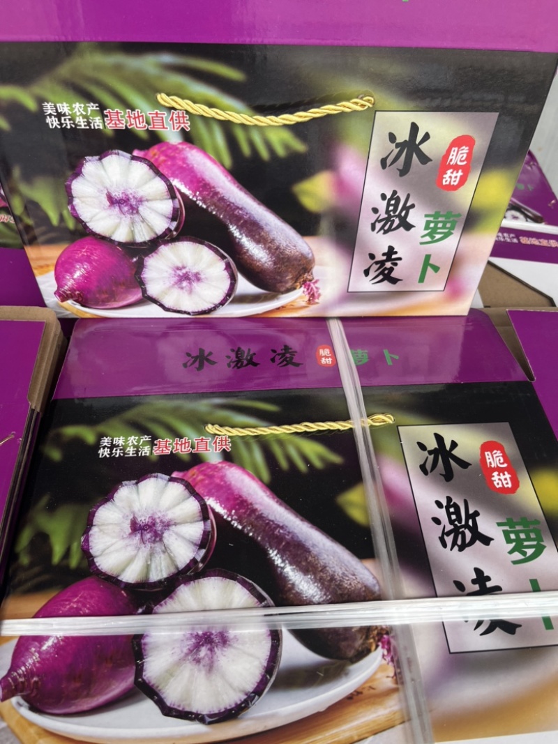 山东潍坊冰淇凌萝卜，凤黎萝卜