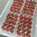 宁玉，妙香精品奶油草莓大量上市，基地直发，对接全国客商！