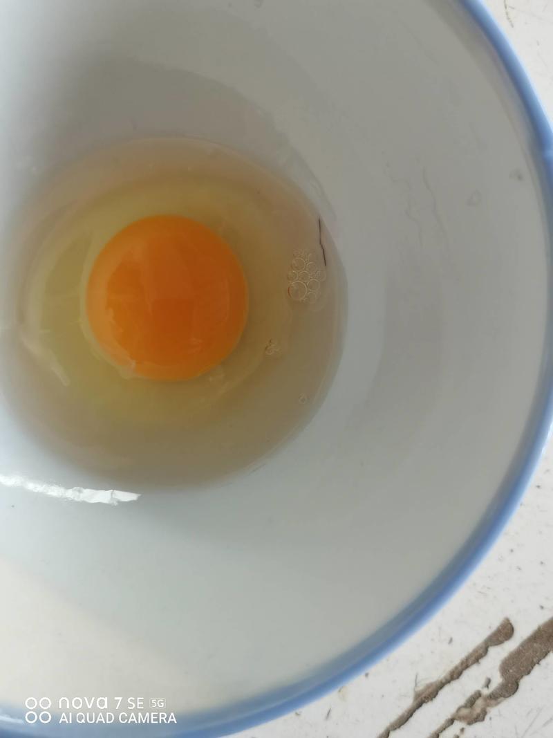 农户山林散养土鸡蛋初生蛋。