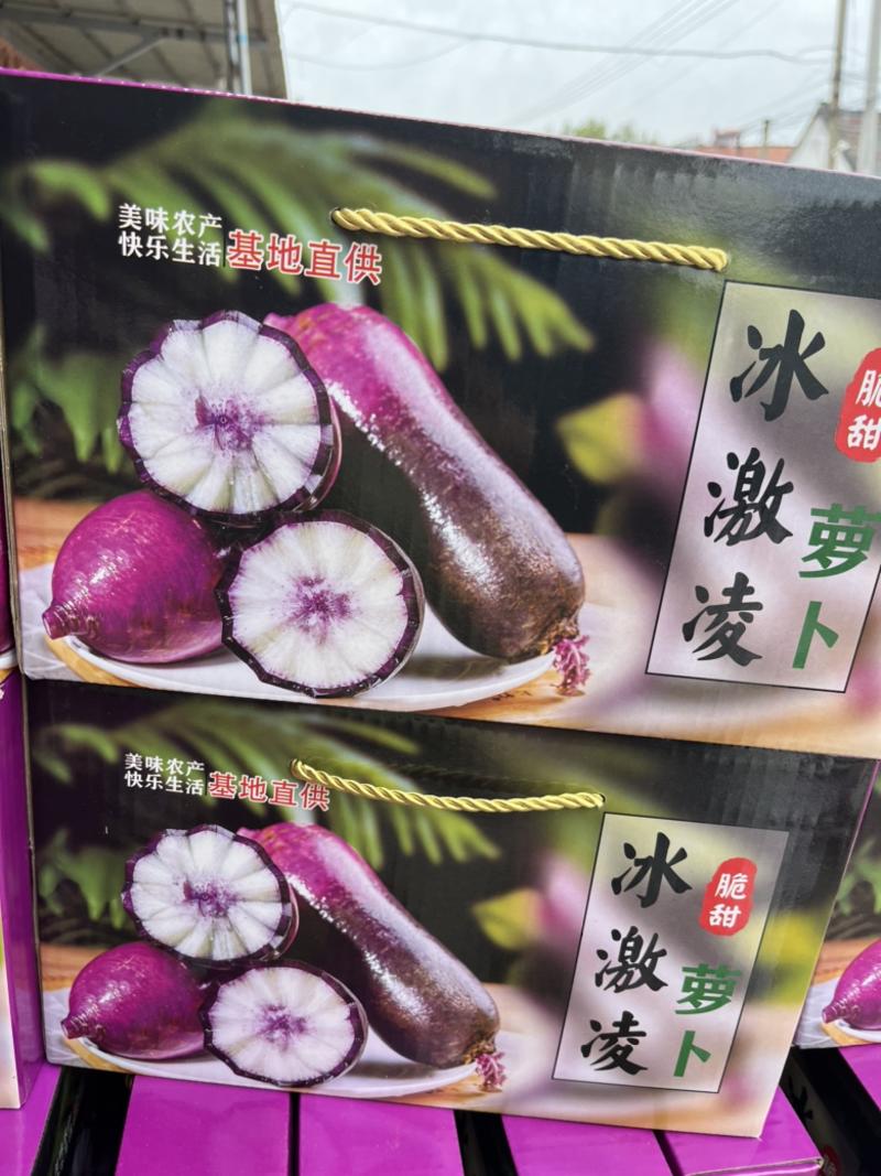 山东潍坊冰淇淋萝卜凤梨萝卜紫美人萝卜水果萝卜
