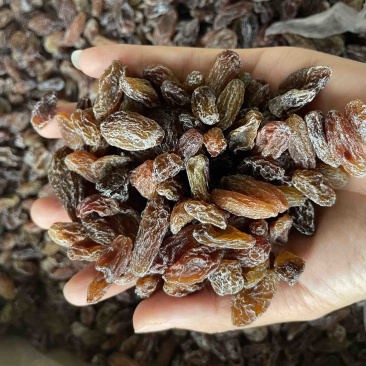 新疆红葡萄干颗粒大免洗特级超大葡萄干特产批发