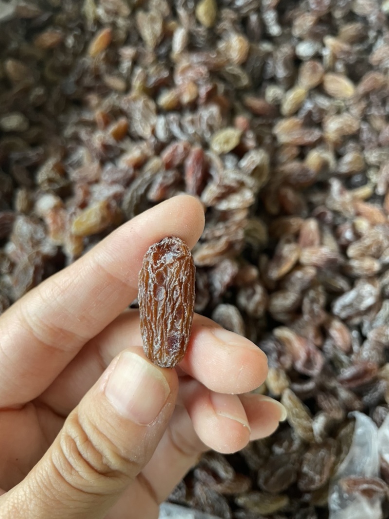 新疆红葡萄干颗粒大免洗特级超大葡萄干特产批发