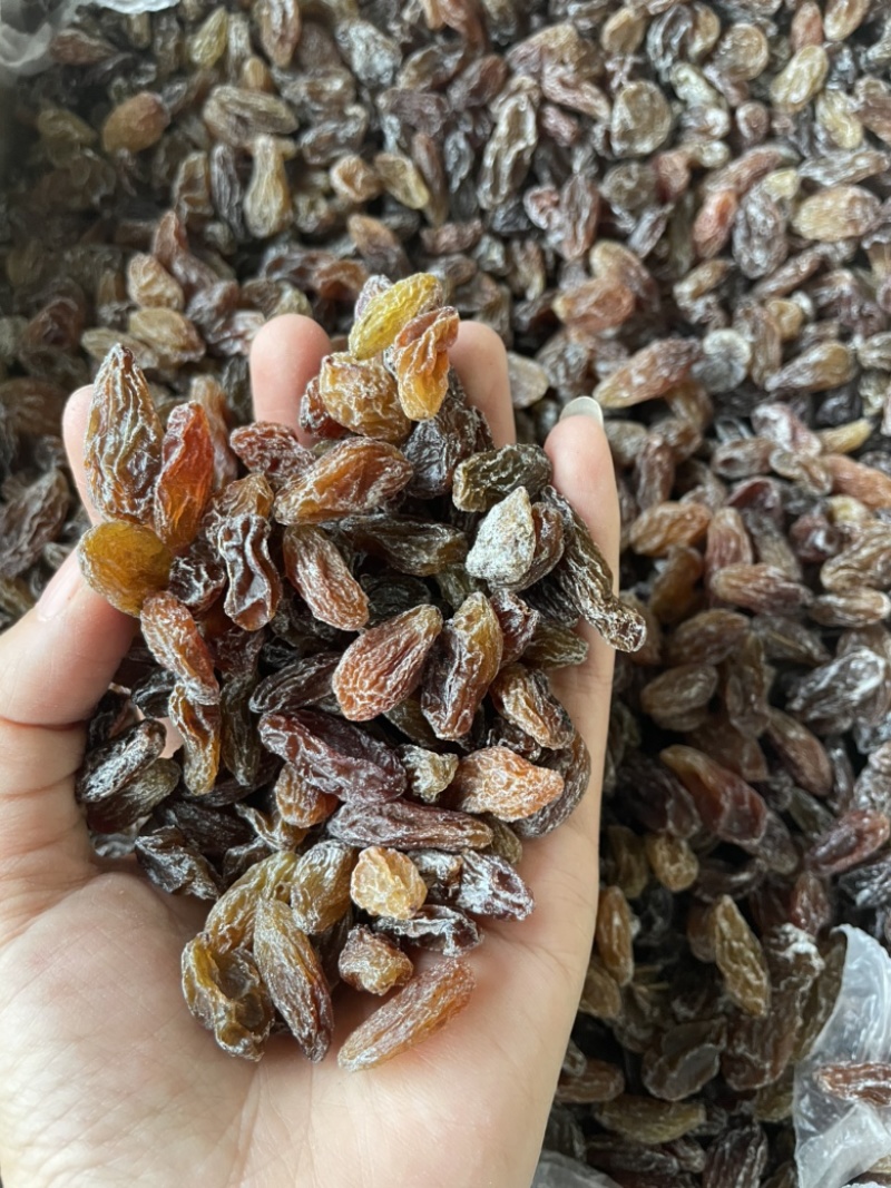 新疆红葡萄干颗粒大免洗特级超大葡萄干特产批发
