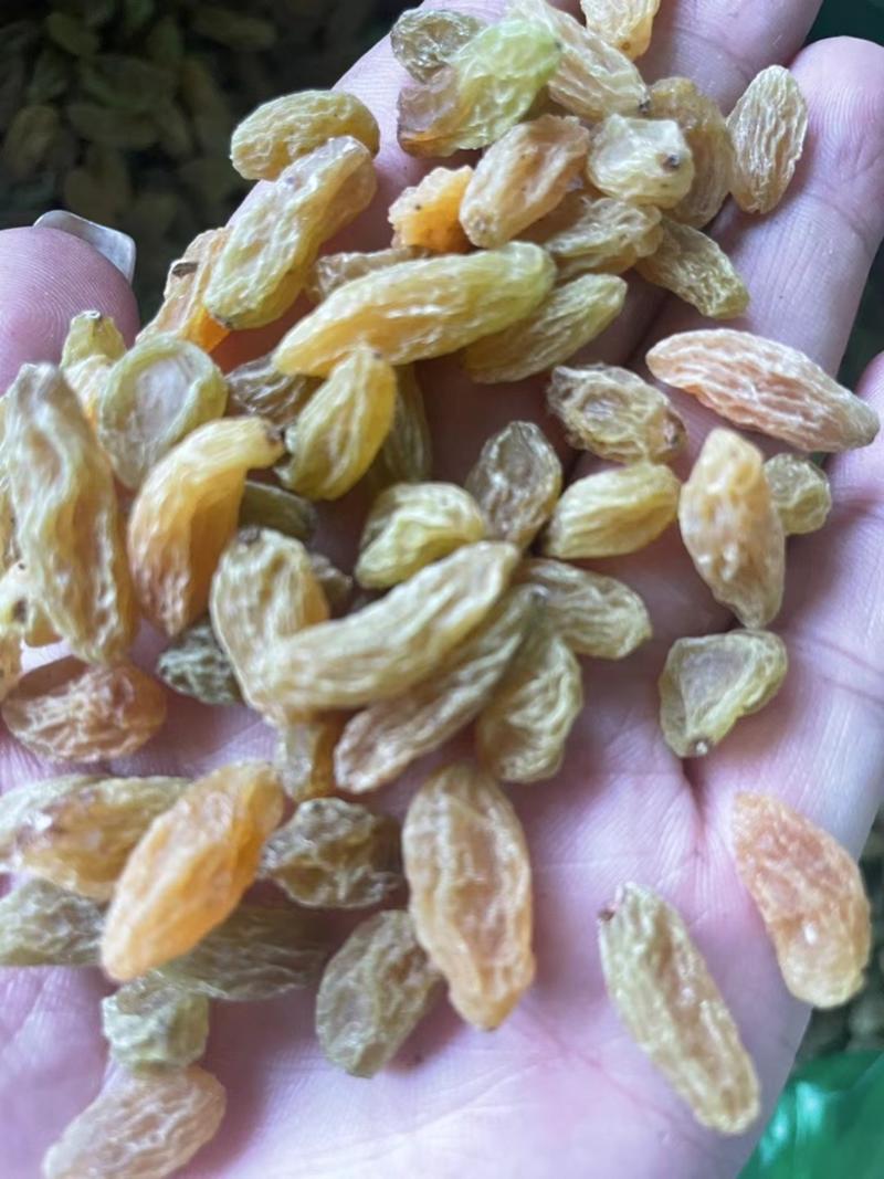 新疆特产散装绿葡萄干超大颗粒免洗即食葡萄干批发