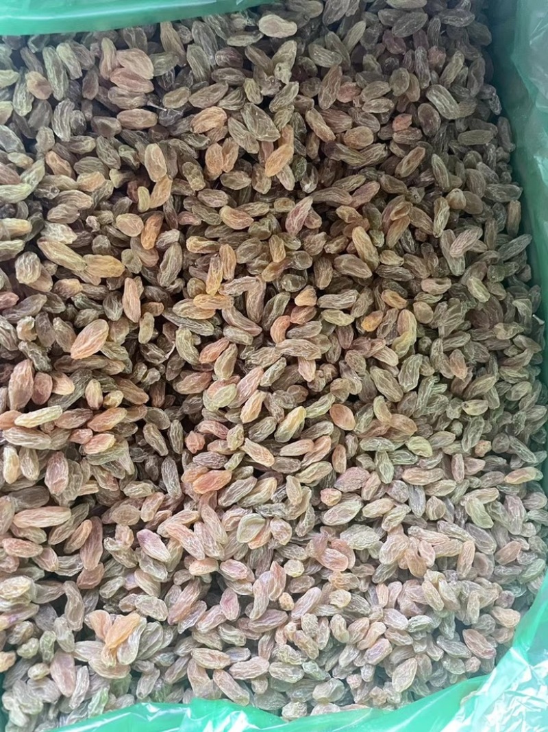新疆特产散装绿葡萄干超大颗粒免洗即食葡萄干批发