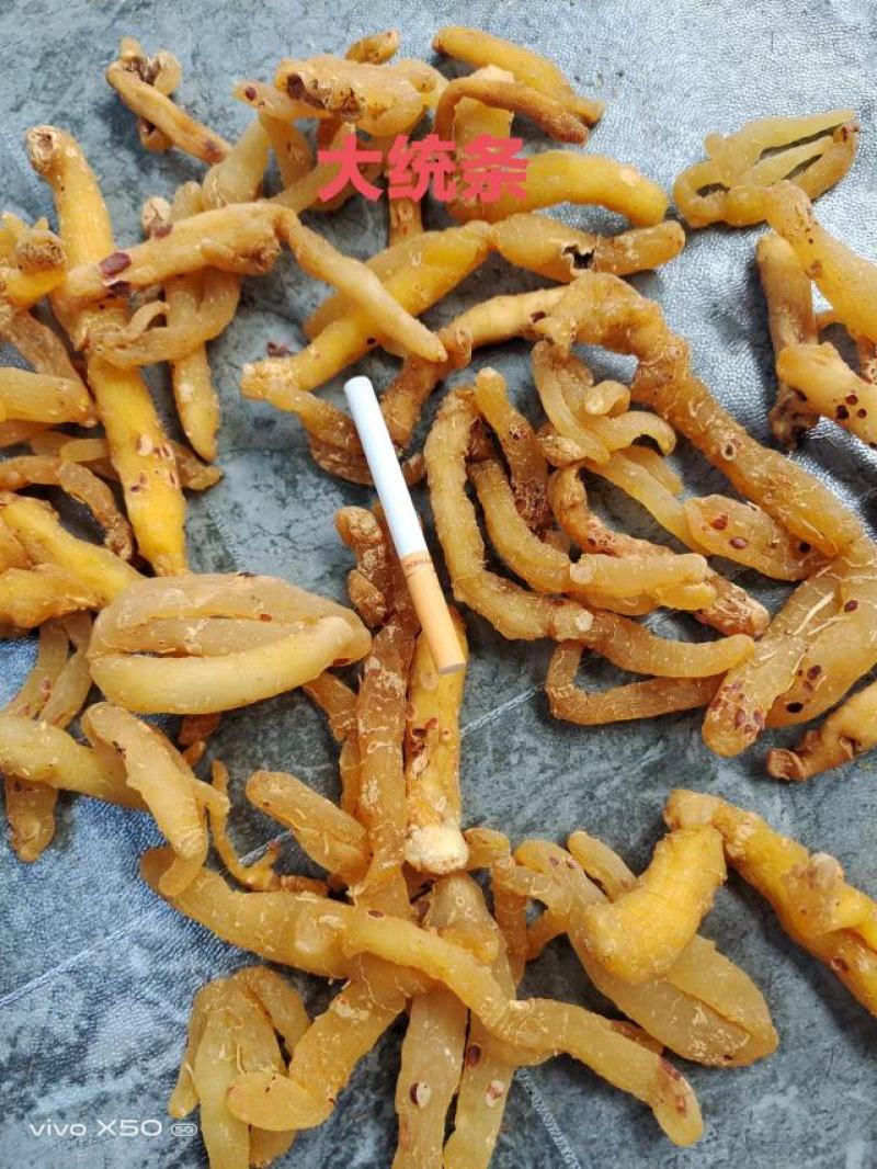 广东连州玉竹条
