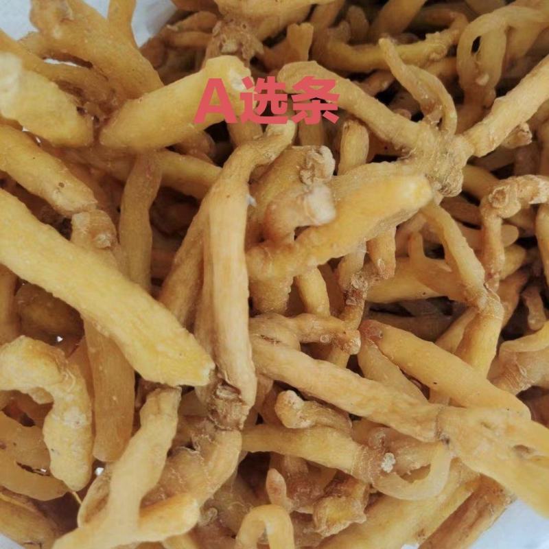 广东连州玉竹条