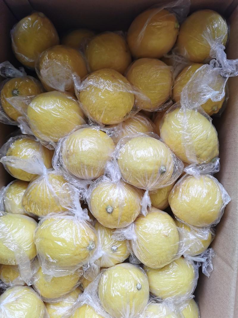 安岳黄柠檬尤力克柠檬皮薄多汁产地批发整车零担物流大量便宜