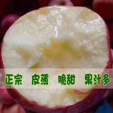 山西吉县壶口优越的地理环境造就了口感极佳的苹果