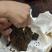 【牛商推荐】老班章29号熟茶2片装礼盒产地一手货源