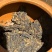 【牛商推荐】老班章29号熟茶2片装礼盒产地一手货源