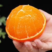 眉山爱媛果冻橙爆汁化渣纯甜无酸细腻产地供应链一件
