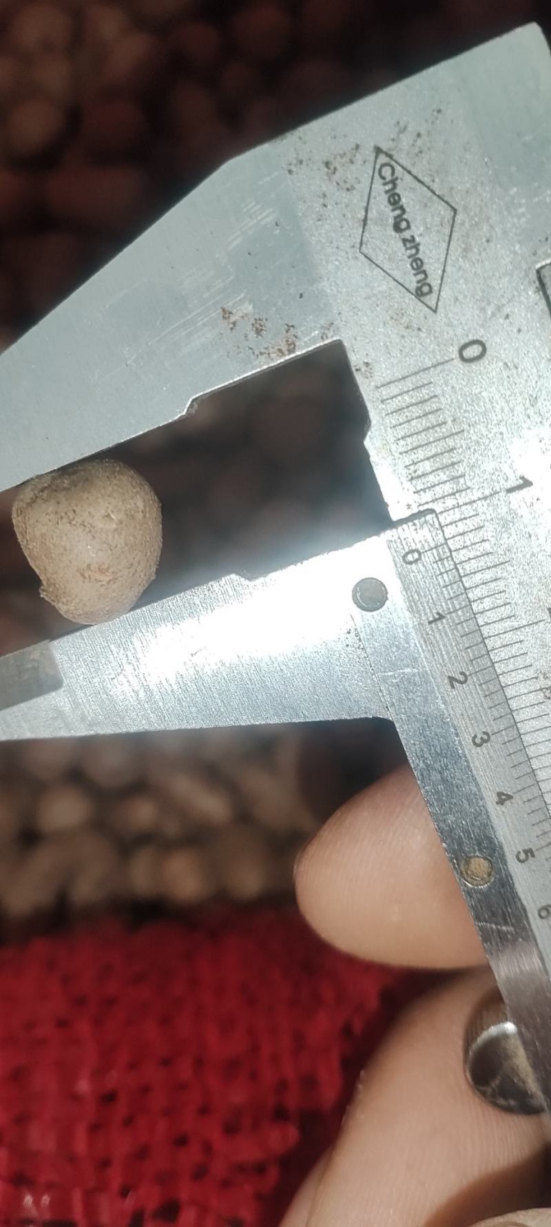 灵宝铁棍山药豆大量上市了，本人提供厂地欢迎前来收购。