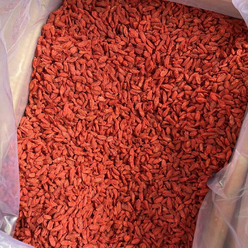 西藏红枸杞（小果）大量供应质量上乘一手货源产地直发