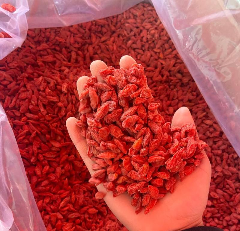 西藏红枸杞（小果）大量供应质量上乘一手货源产地直发