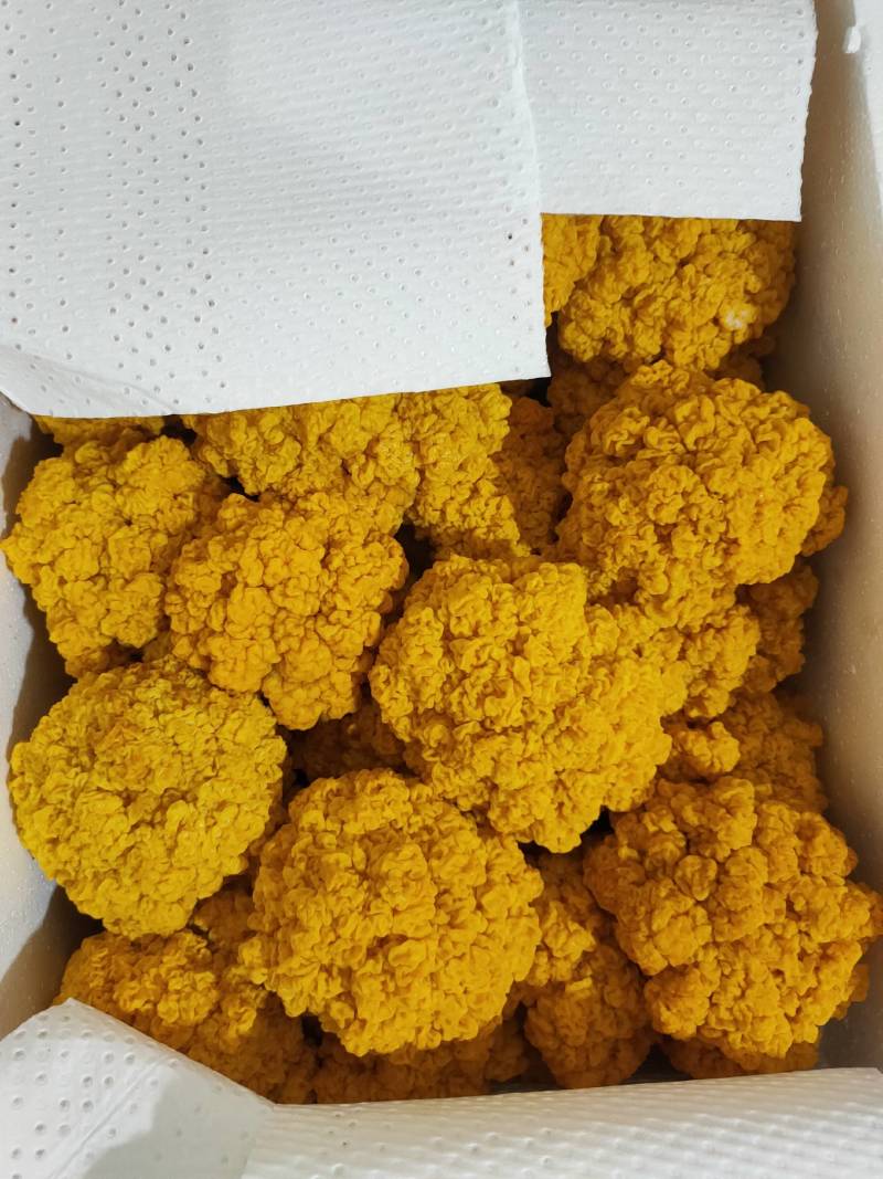 云南基地直供120+精品金耳，熬羹煲汤佳品