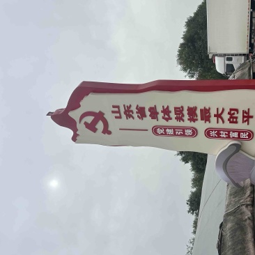 山东临清平菇基地开始大量出货，对接批发市场