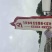 山东临清平菇基地开始大量出货，对接批发市场