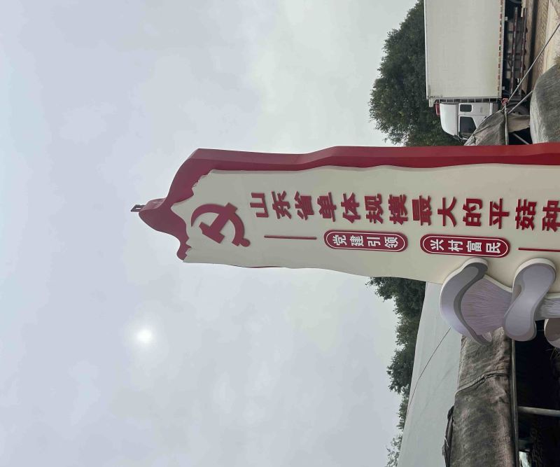 山东临清平菇基地开始大量出货，对接批发市场