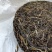 普洱茶生茶饼普洱茶357克玉龍祥普洱生茶包邮