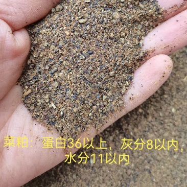 菜粕