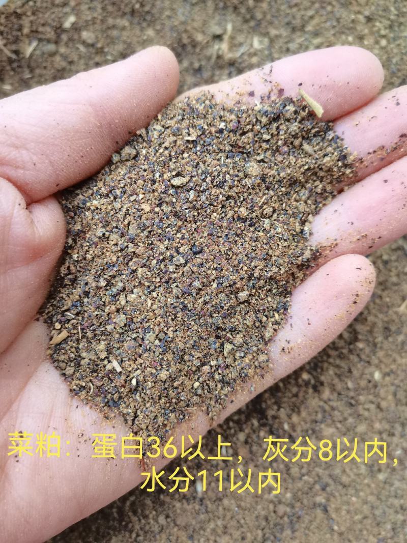 菜粕