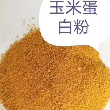 蛋白粉