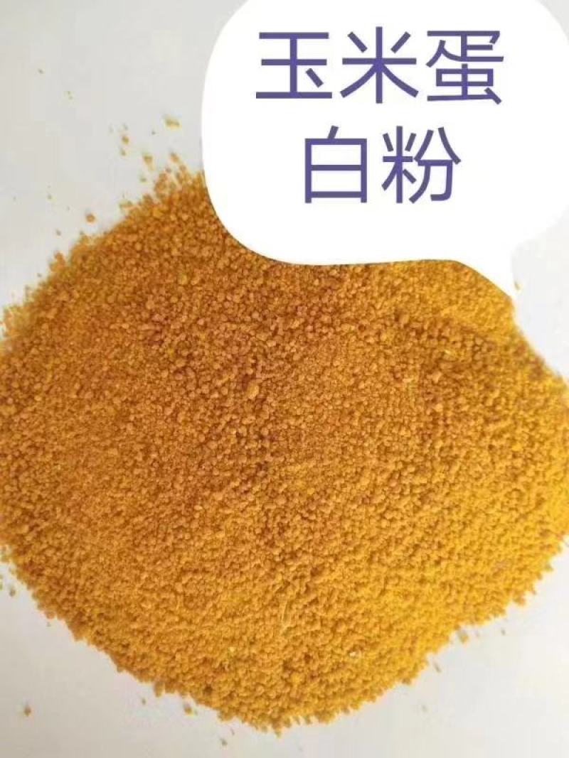 蛋白粉