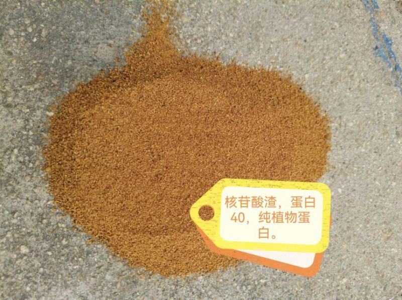 蛋白粉