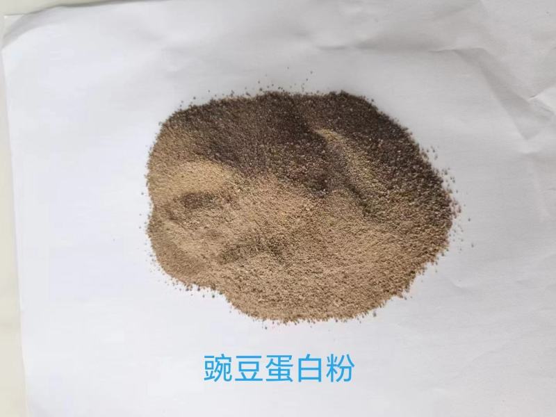 蛋白粉