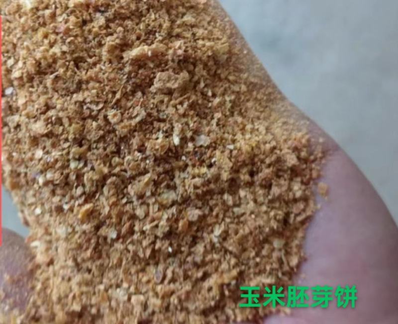 玉米胚芽粕饼