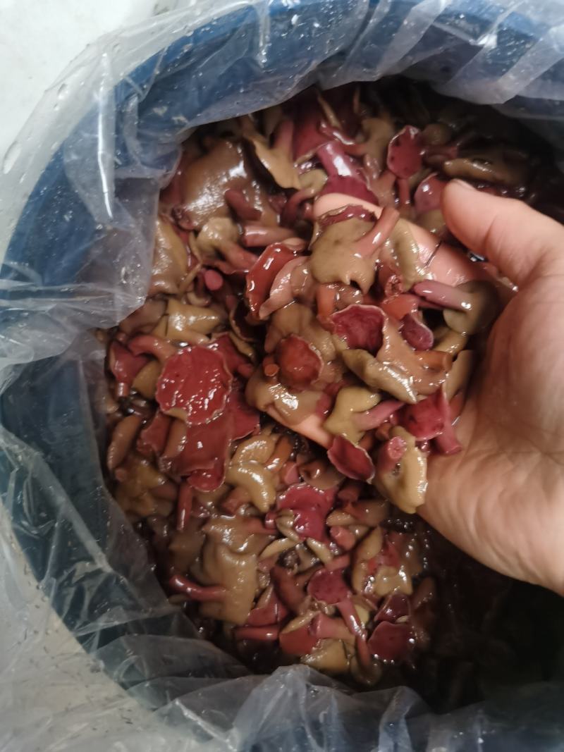 原产地老山区野生菌餐饮酒店专用红乳牛肝菌