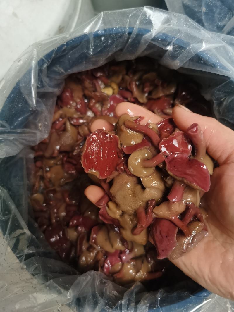 原产地老山区野生菌餐饮酒店专用红乳牛肝菌