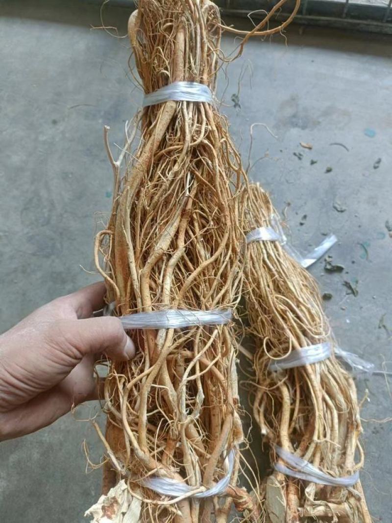 长扎把