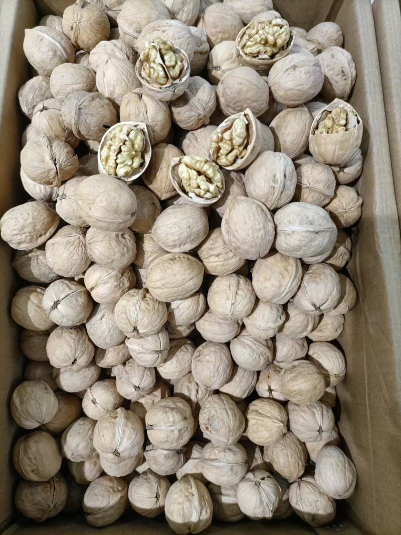 185纸皮核桃