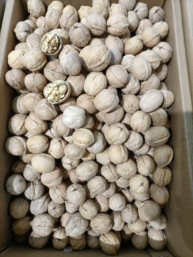 185纸皮核桃