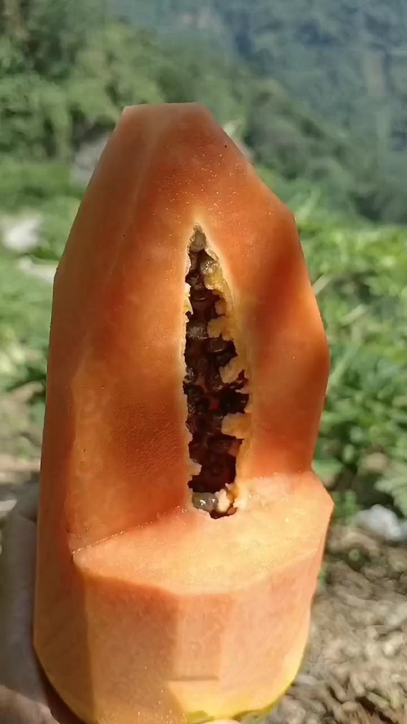 精品木瓜规格齐全一手货源基地直发可视频看货欢迎电话联系