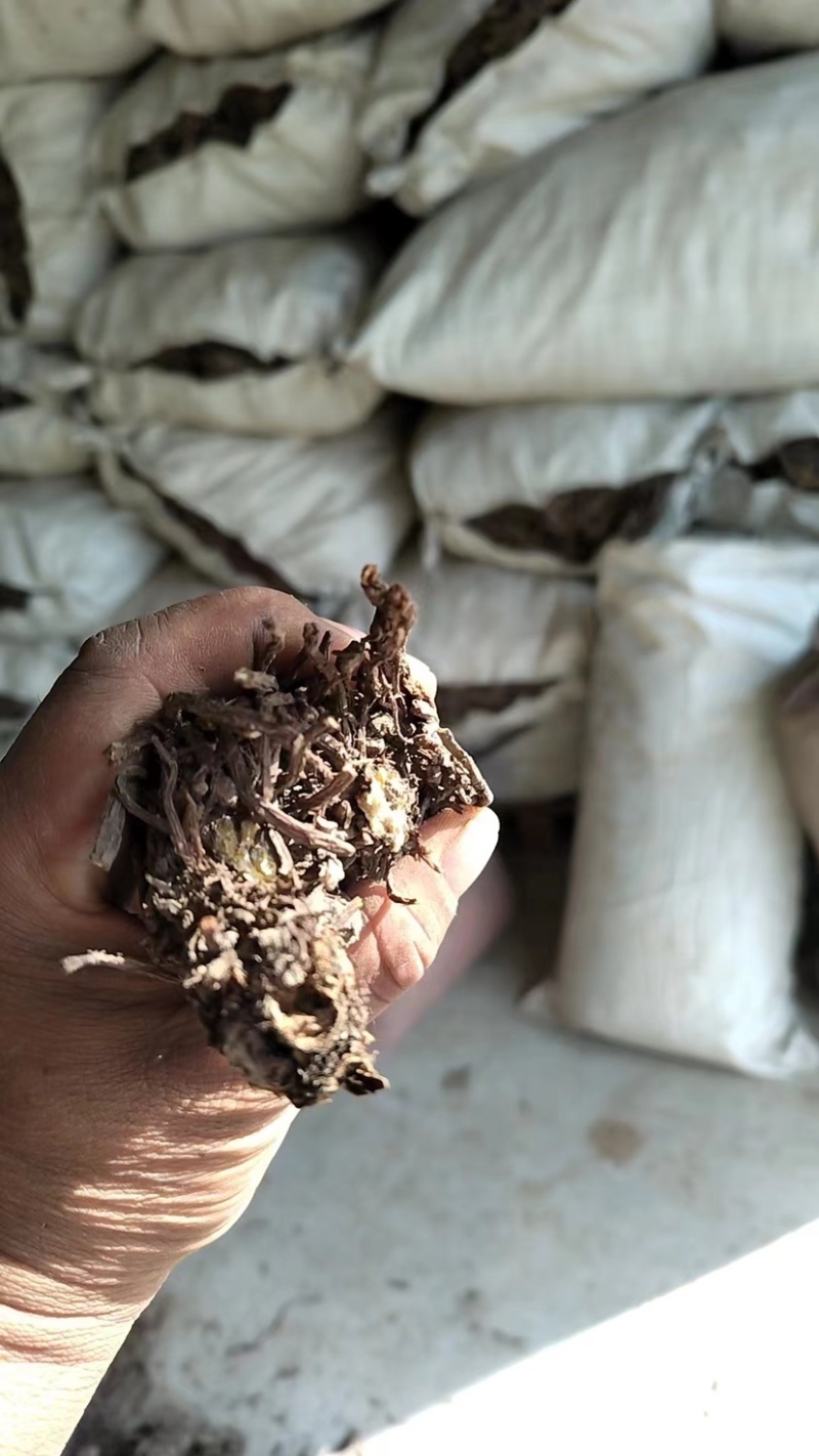 药材羌活，中药材，品质保障，一手代工