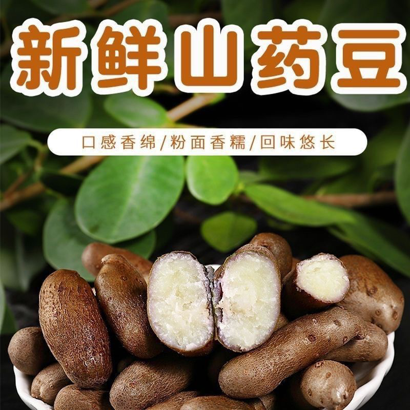 精品山药豆接各大电商平台代发平台电商专用山药豆糖葫芦专用