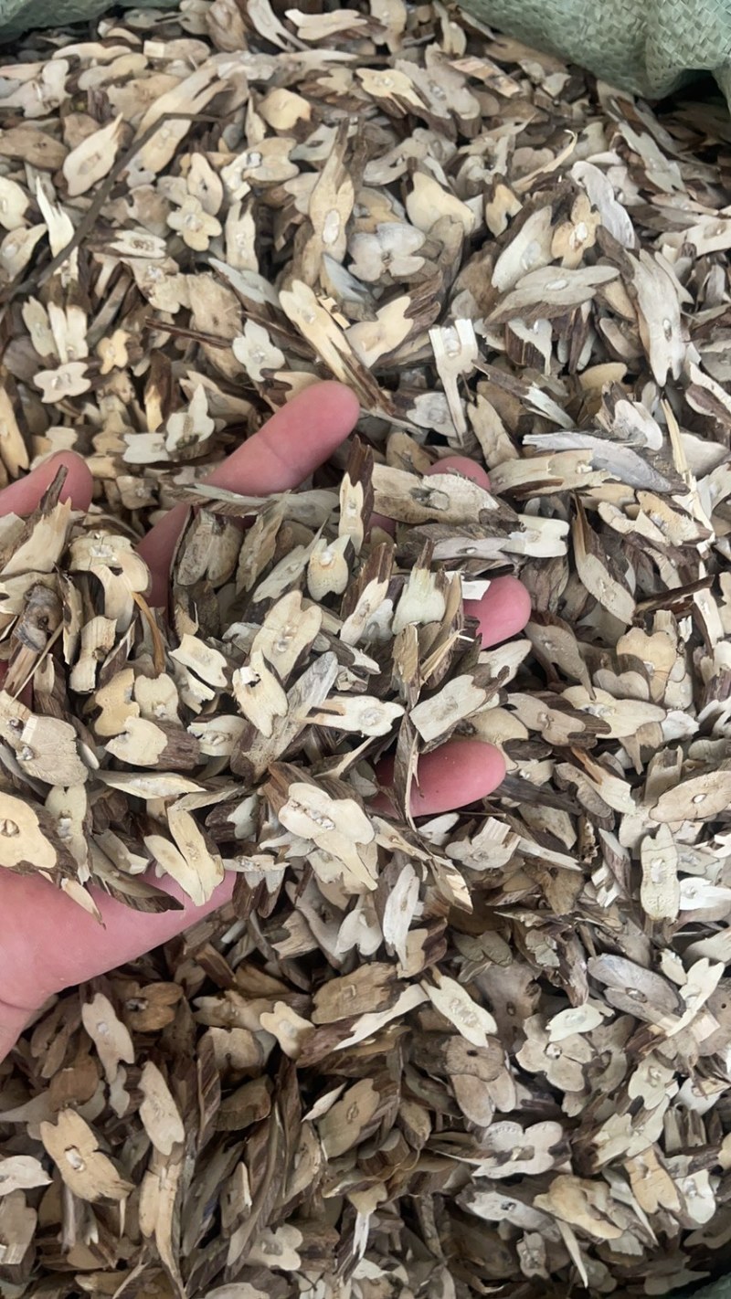 苏梗片紫苏梗片