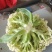 湖北省，天门市白面有机花菜已大量上市，有需求的客户请联系