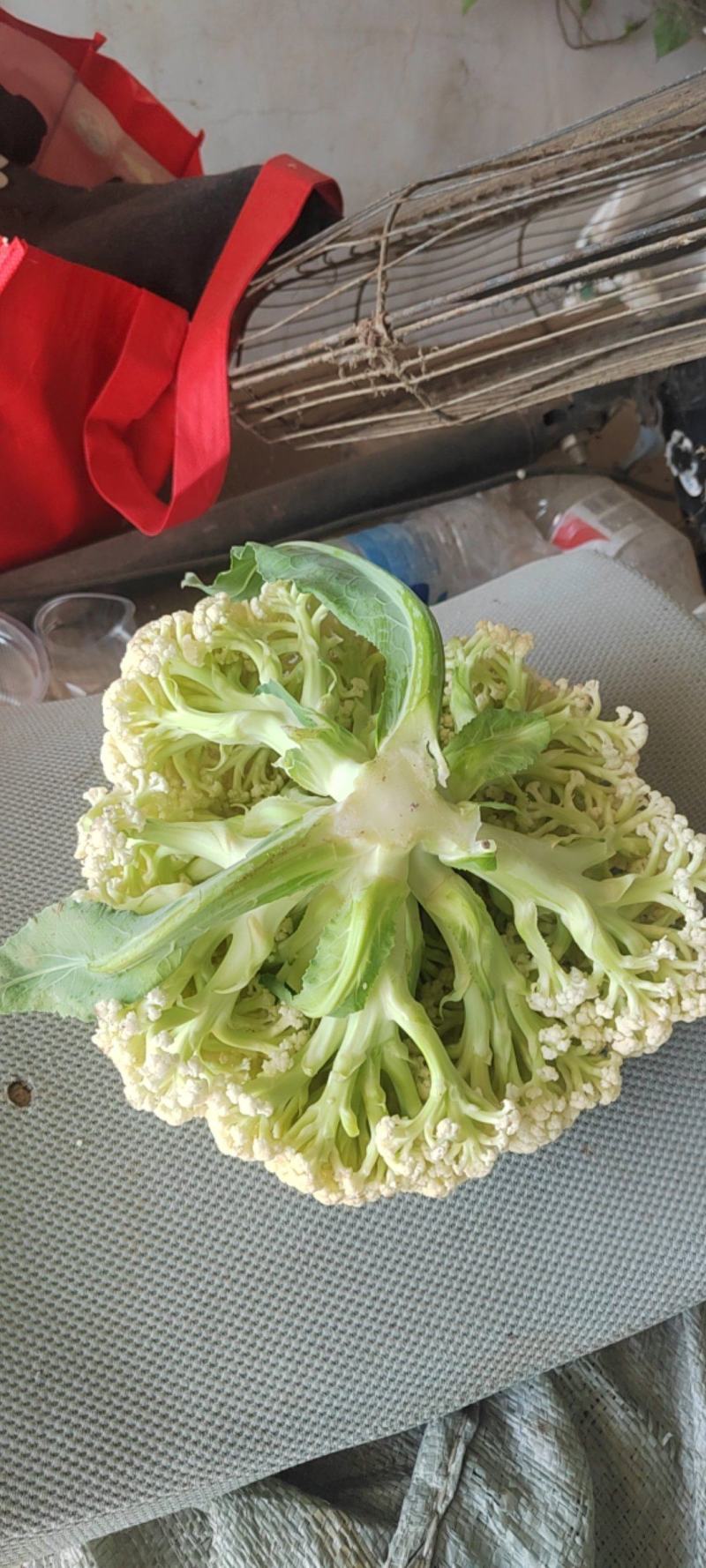 湖北省，天门市白面有机花菜已大量上市，有需求的客户请联系